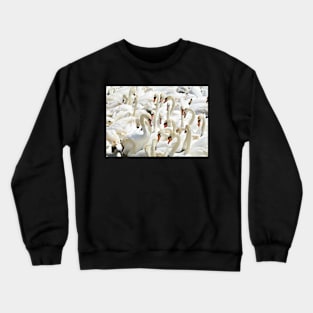 Swan Sea Crewneck Sweatshirt